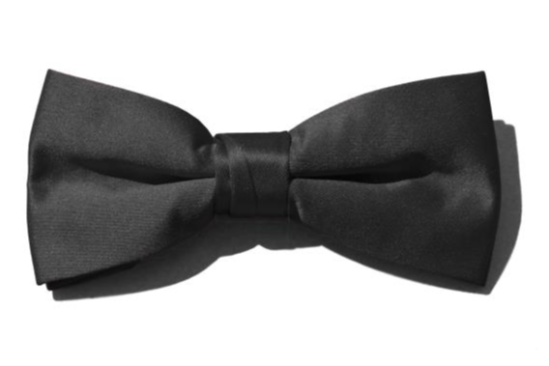 Fabian Group - Satin Bow Tie